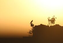 O czym świadczy nadmierną gestykulacja?